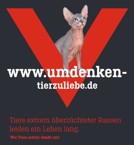 umdenken